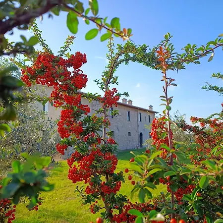 펜션 Casale Il Cantico Della Tenerezza