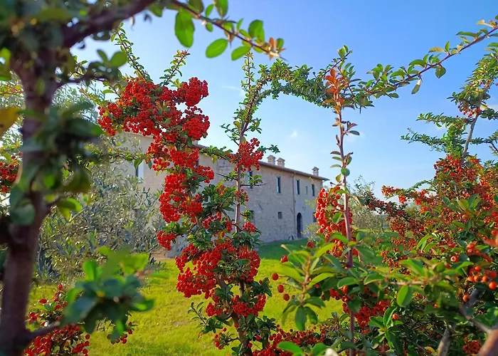 펜션 Casale Il Cantico Della Tenerezza