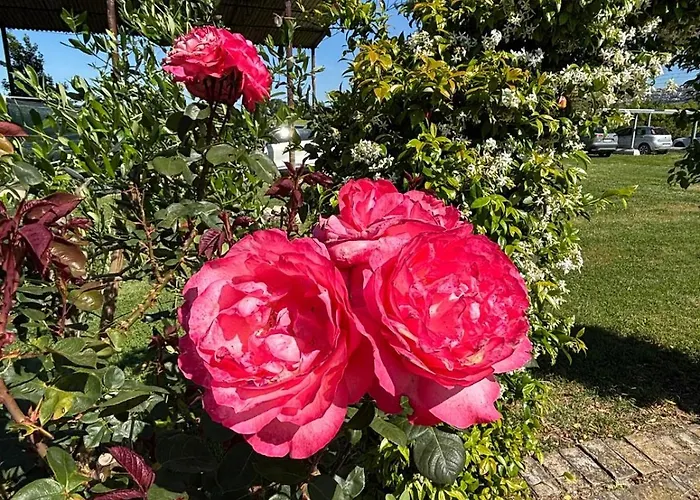 Casale Il Cantico Della Tenerezza 펜션 아시시